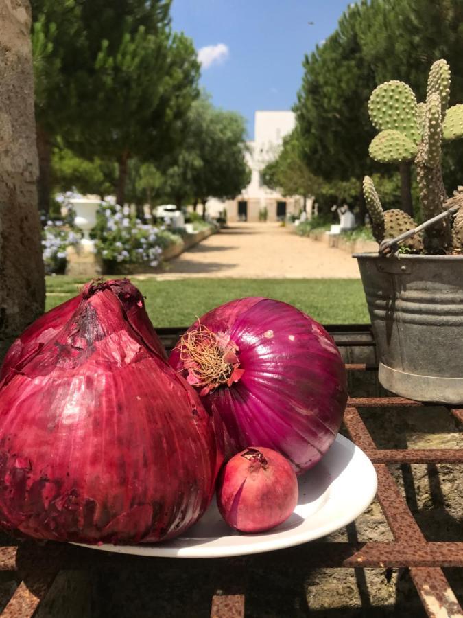 Tenuta Castelle Cutrofiano Εξωτερικό φωτογραφία